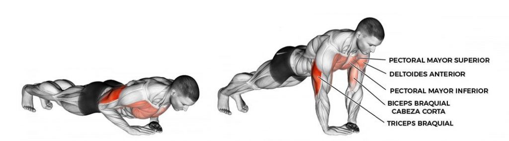  Sabes Hacer Flexiones M ra Nuestra Gu a Y Aprende A Realizarlas 