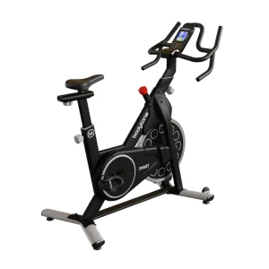 Active BIKE 300 Smart-Grey